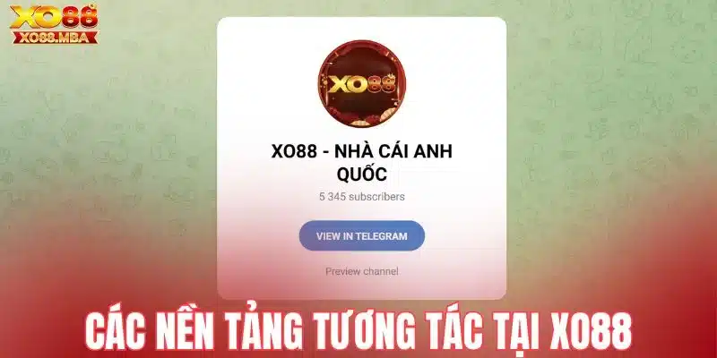 Các nền tảng tương tác tại Xo88