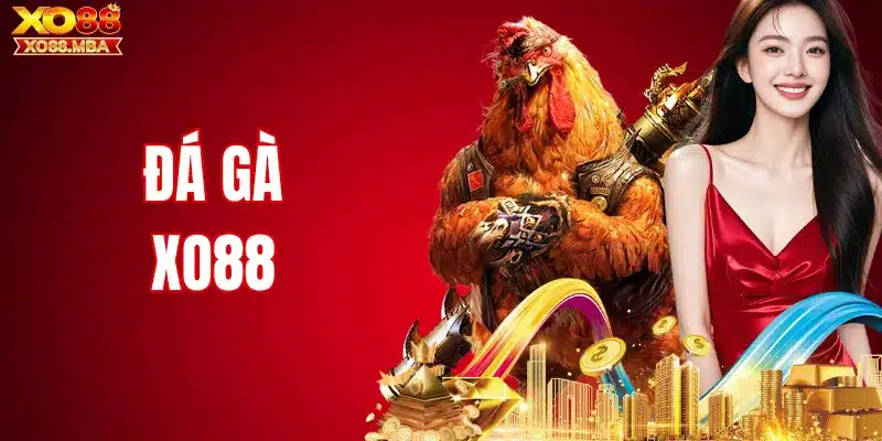 đá gà Xo88