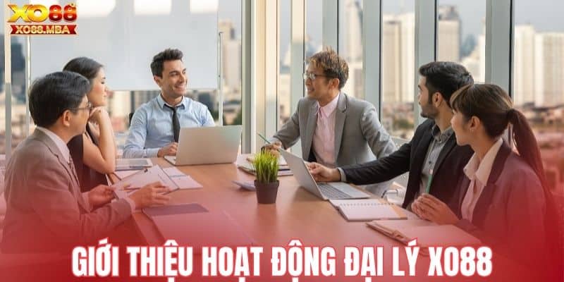 Giới thiệu hoạt động cơ bản đại lý Xo88