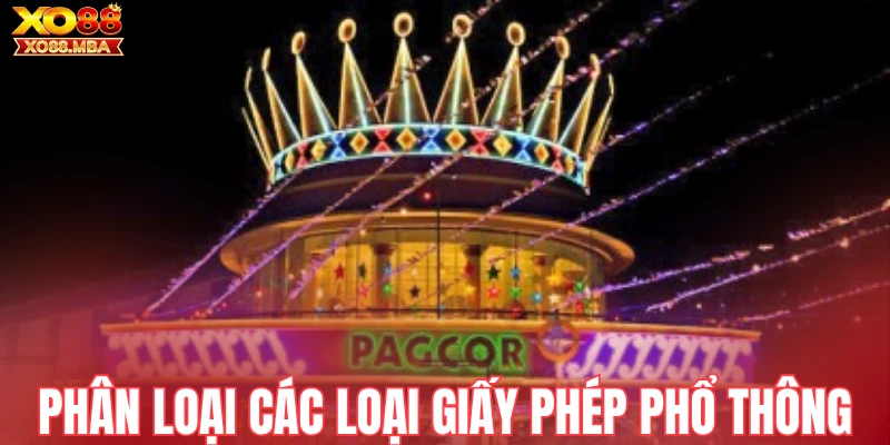 Phân loại các loại giấy phép phổ thông