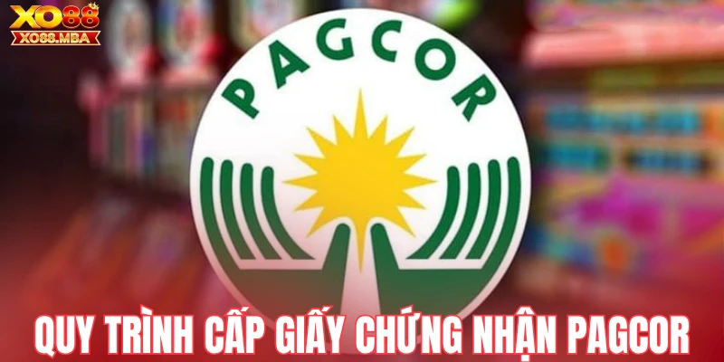 Quy trình cấp giấy chứng nhận PAGCOR