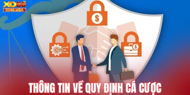Thông tin về quy định cá cược