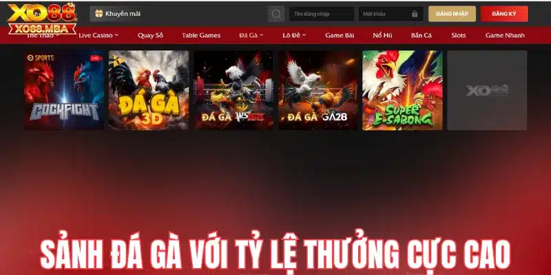 Tìm hiểu sảnh đá gà với tỷ lệ thưởng cực cao