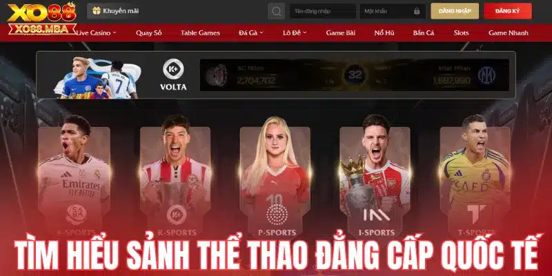 Tìm hiểu sảnh thể thao đẳng cấp quốc tế